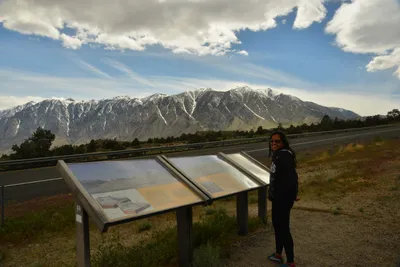 DSC_6607 (Large).JPG